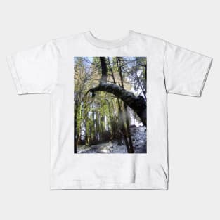 Forest Sun Rays in the Snow #42 Kids T-Shirt